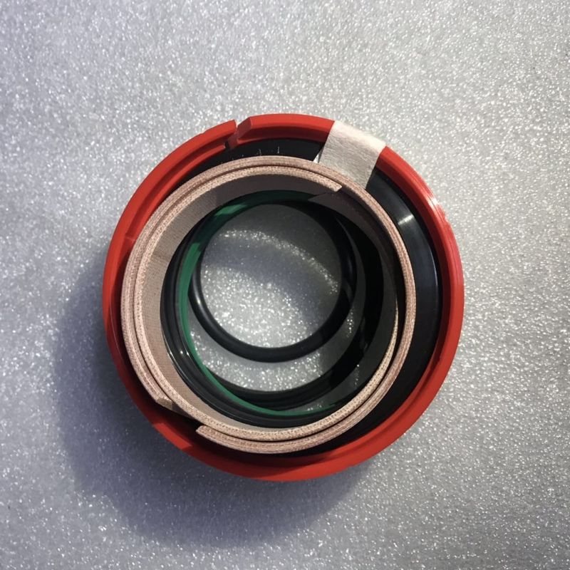 Putzmeister Schwing Zoomlion을 위한 액압 실린더 물개 장비 구체 펌프 부속