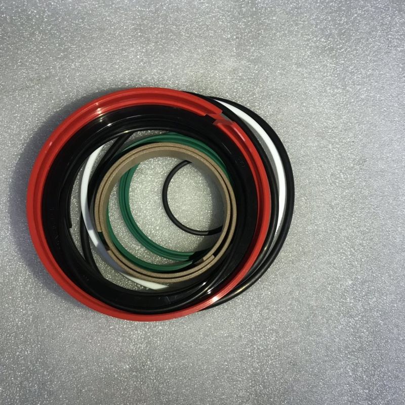 Putzmeister Schwing Zoomlion을 위한 액압 실린더 물개 장비 구체 펌프 부속